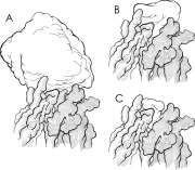 Antibody Interactions With Proteins, Peptides & Haptens